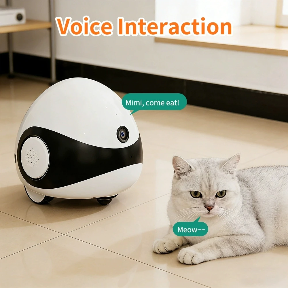 Bebekler, Köpekler ve Kediler  - Smart Home Camera Ezviz incelemesi ve fiyatı